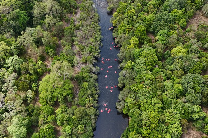 Rainforest River Tubing from Cairns - Key points to know before booking