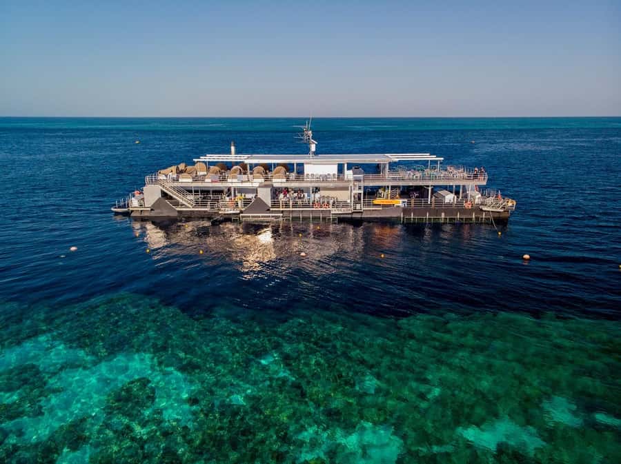 Reef Sleep: 2-Day Great Barrier Reef Pontoon & Gourmet Meals - The long ride from Queensland to Hardy Reef