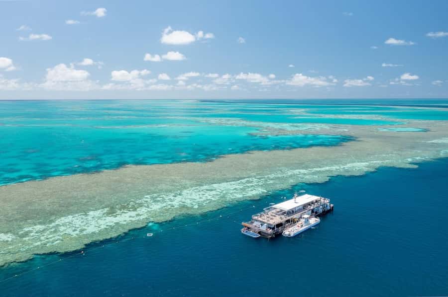 Reef Sleep: 2-Day Great Barrier Reef Pontoon & Gourmet Meals - Who will enjoy Reef Sleep most