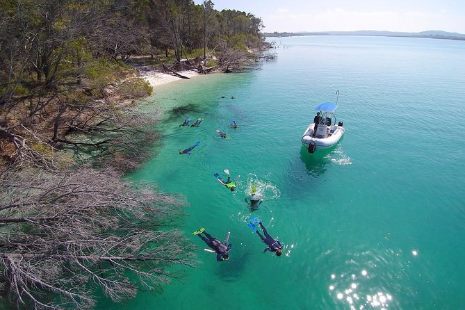 Remote Fraser Island Experience - Wildlife, whales, and the limits of nature