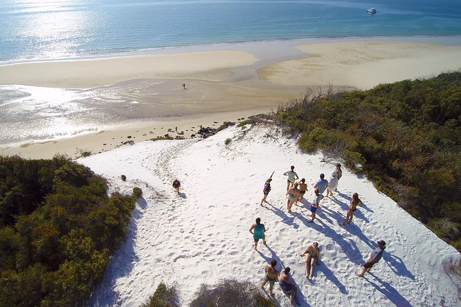 Remote K'gari (Fraser Island) & Whale Experience - Key points at a glance