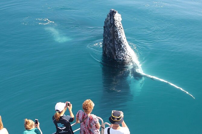 Remote K'gari (Fraser Island) & Whale Experience - Lunch, snacks, and the small comforts