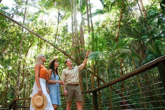 Remote K'gari (Fraser Island) & Whale Experience - How active is the tour?