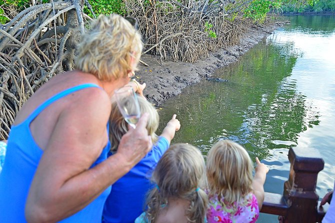 River Cruise - Following Dickson Inlet Into the Mangroves