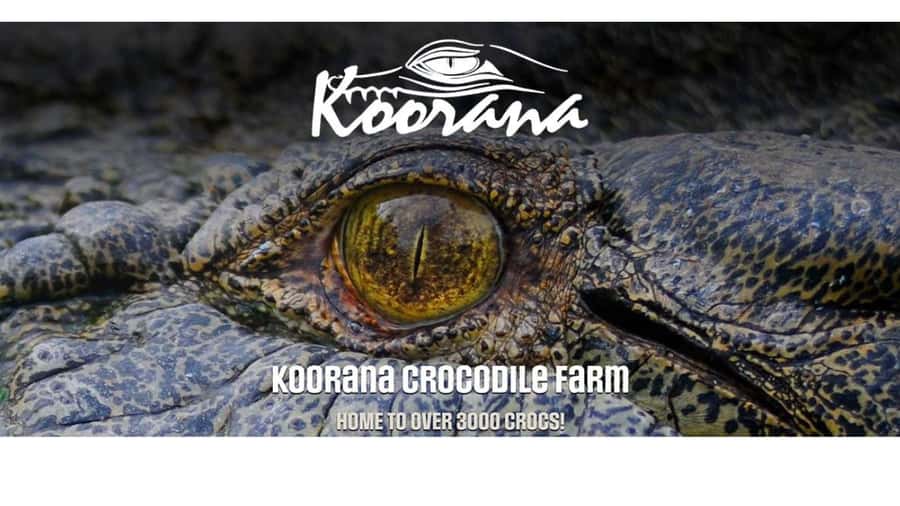 Rockhampton: Koorana Crocodile Farm Guided Tour - Key points to know before you go