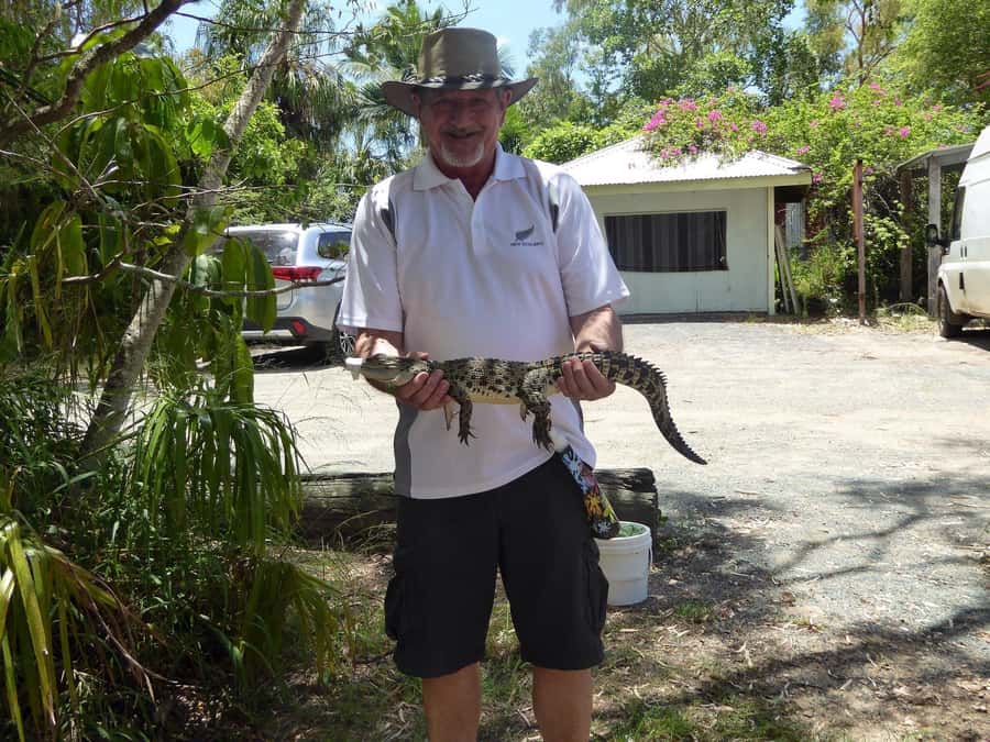 Rockhampton: Koorana Crocodile Farm Guided Tour - What the $28 price gets you