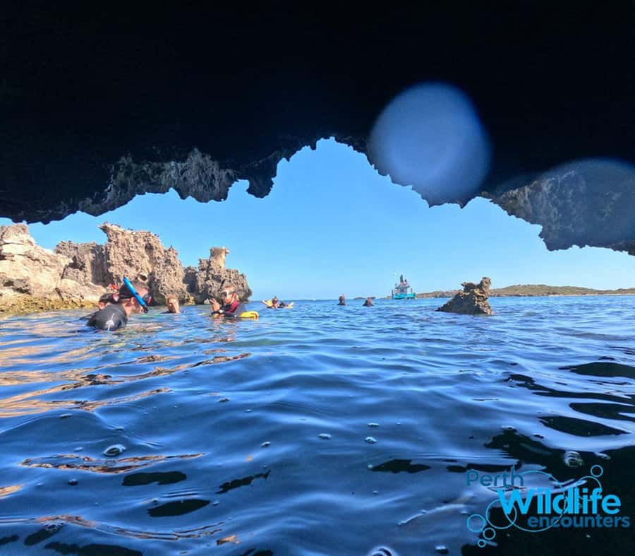 Rockingham: 3 Island Wildlife Snorkeling Cruise with Lunch - Key points at a glance