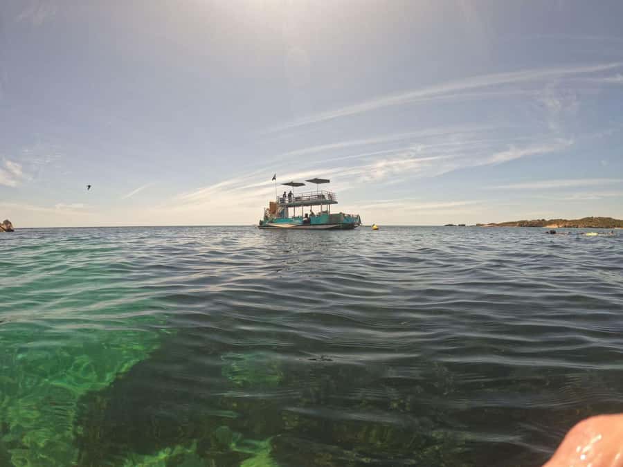 Rockingham: 3 Island Wildlife Snorkeling Cruise with Lunch - Photos and underwater memories