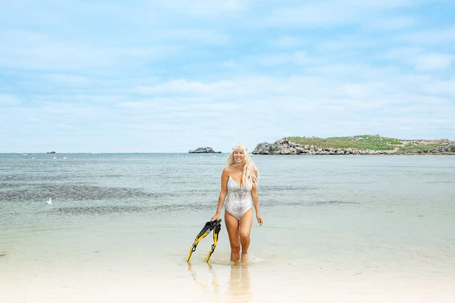Rockingham: Shoalwater Islands, Dolphins, and Sea Lions Tour - Penguin Island, naming confusion, and weather changes