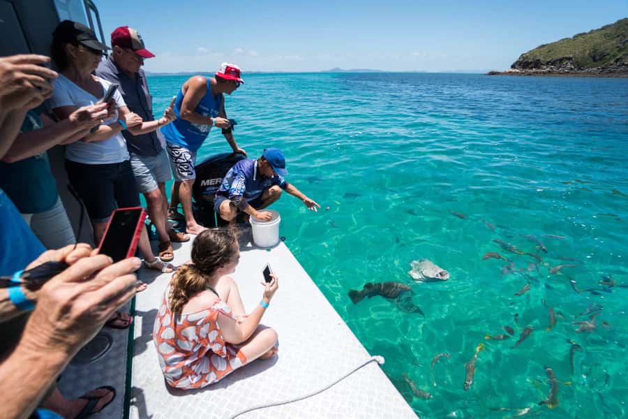 Rosslyn: Great Keppel Island Glass Bottom Boat Tour - The 30-minute ferry from Yeppoon to Fisherman’s Beach