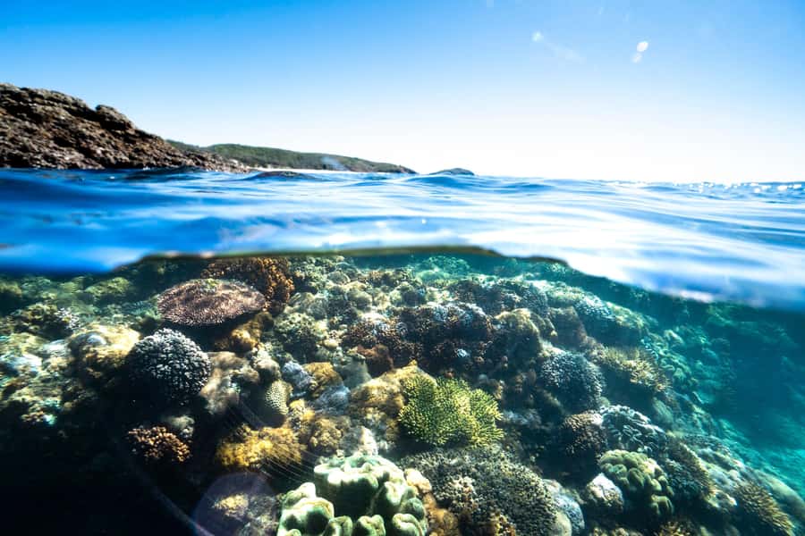 Rosslyn: Great Keppel Island Glass Bottom Boat Tour - Practical packing and arrival advice