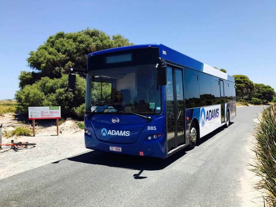 Rottnest Grand Island Package with Ferry, Tour & Light Lunch - What this Rottnest day covers