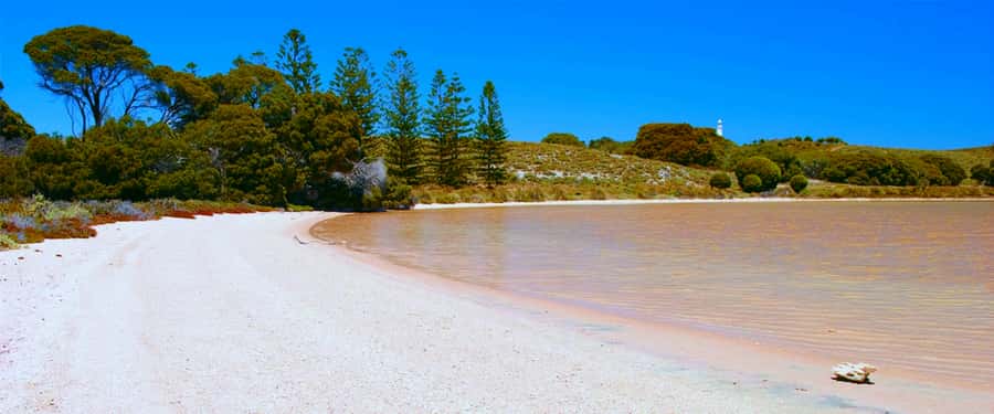 Rottnest Grand Island Package with Ferry, Tour & Light Lunch - Choosing Perth or Fremantle for the ferry