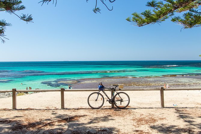 Rottnest Island Bayseeker Day Trip from Fremantle - Checking in at Fremantle’s B Shed terminal
