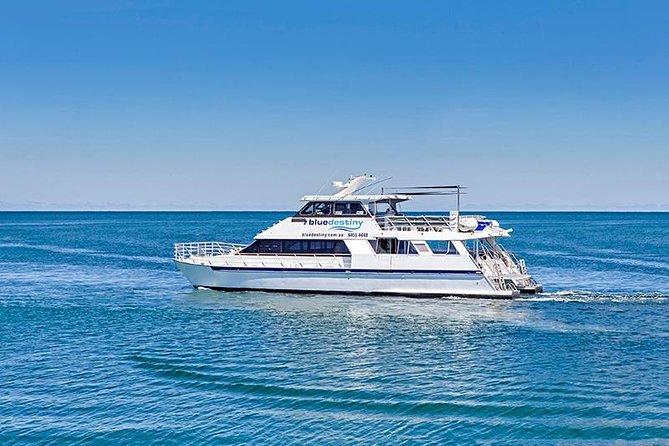 Rottnest Island Boat Dive Day Trip including Lunch - Why Rottnest works so well for an underwater day