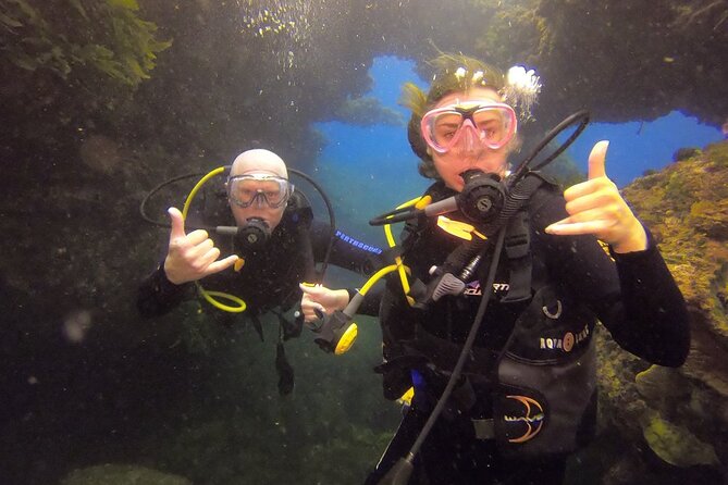 Rottnest Island Boat Dive Day Trip including Lunch - Two scuba sessions among caverns and swim-throughs