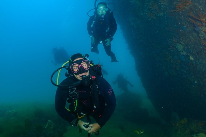 Rottnest Island Deep Dive Day Trips - Why the skipper matters on a changeable day