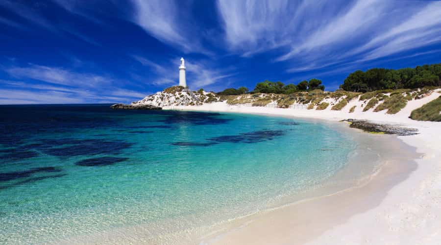 Rottnest Island: Grand Bus and Train Tour with Lunch - Key points to know before you book