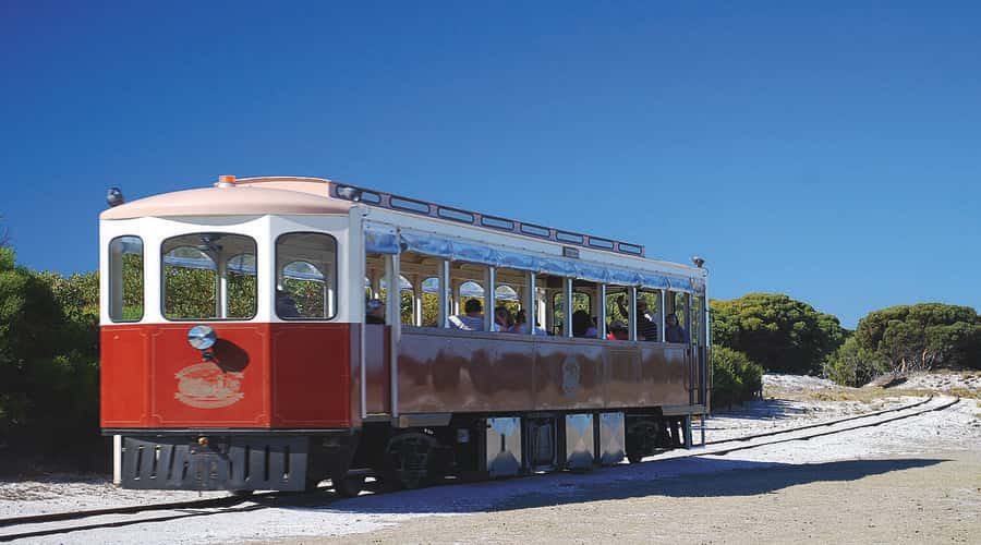Rottnest Island: Grand Bus and Train Tour with Lunch - The bus circuit: beaches, salt lakes, and island views