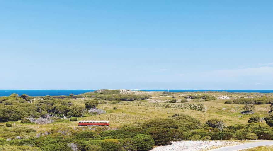 Rottnest Island: Grand Bus and Train Tour with Lunch - Inside the Oliver Hill gun fortifications and tunnels