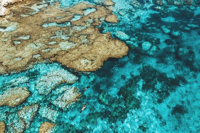 Rottnest Island Round Trip Ferry from Fremantle - Key points to know before you book