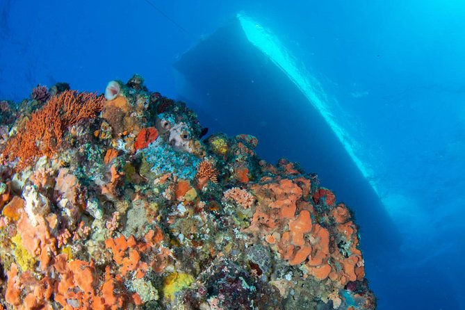 Rottnest Island scuba dive tour - Two scuba sessions, snorkel time, or a quiet day aboard