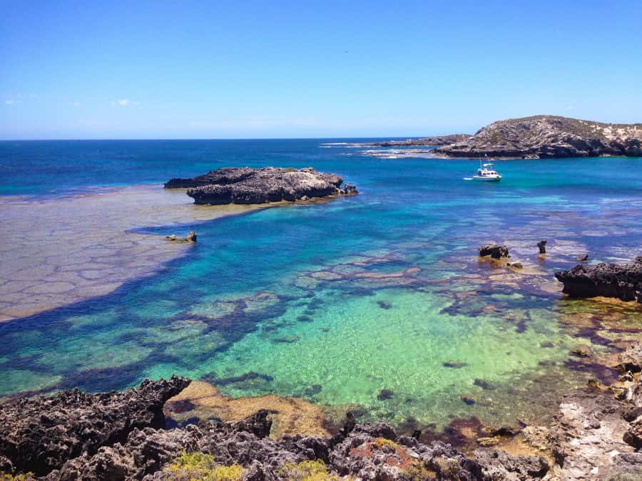 Rottnest Island Segway 1-Hour Settlement Tour - Bickley Bay and the coastal views