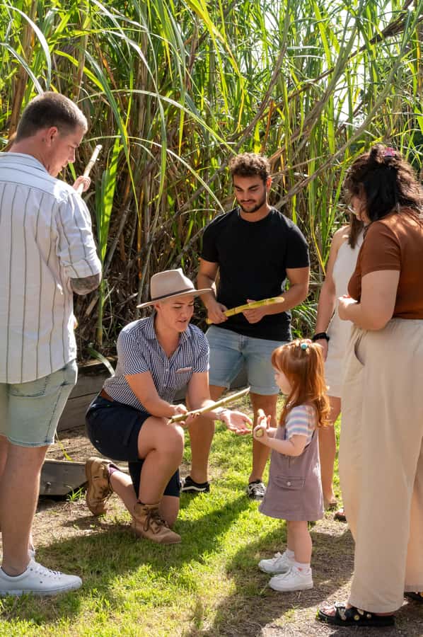 Sarina: Guided Tour of the Sarina Sugar Shed with Tasting - The miniature mill and the machinery story