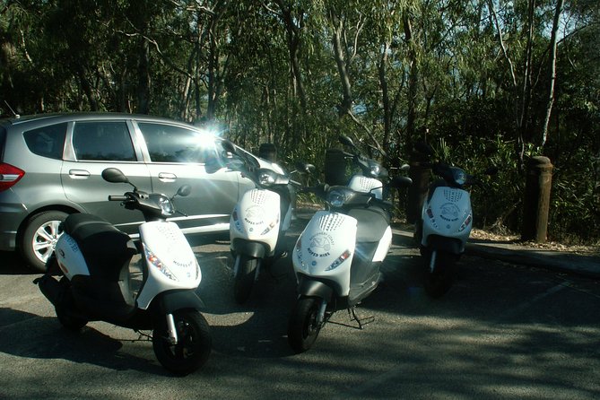 Scooter Wildlife & Sunset Tour - Looking for kangaroos and birds