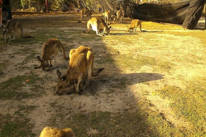Scooter Wildlife & Sunset Tour - Booking and weather details to keep in mind