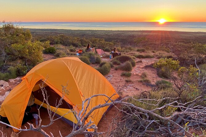 Scuba Dive Ningaloo Reef - Timing, weather, and the practical conditions