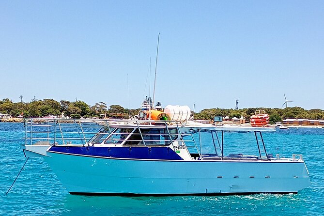 Scuba Dive The Beautiful Rottnest Island for Certified divers - The strongest part: a crew-led, small-group outing