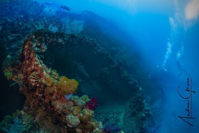 Scuba Dive the S.S. Yongala Wreck on the Great Barrier Reef. - Key points to know before booking