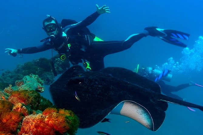 Scuba Dive the S.S. Yongala Wreck on the Great Barrier Reef. - The good and bad of the crew experience