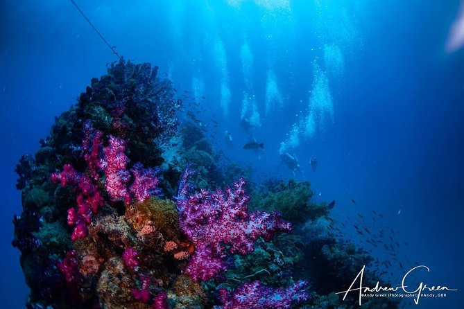 Scuba Dive the S.S. Yongala Wreck on the Great Barrier Reef. - The boat ride and onboard briefing