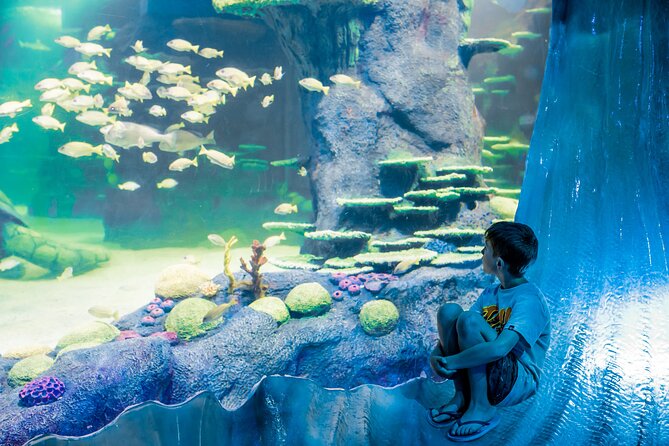 SEA LIFE Sydney Aquarium Entrance Ticket - Dugong Island gives the visit a personal story