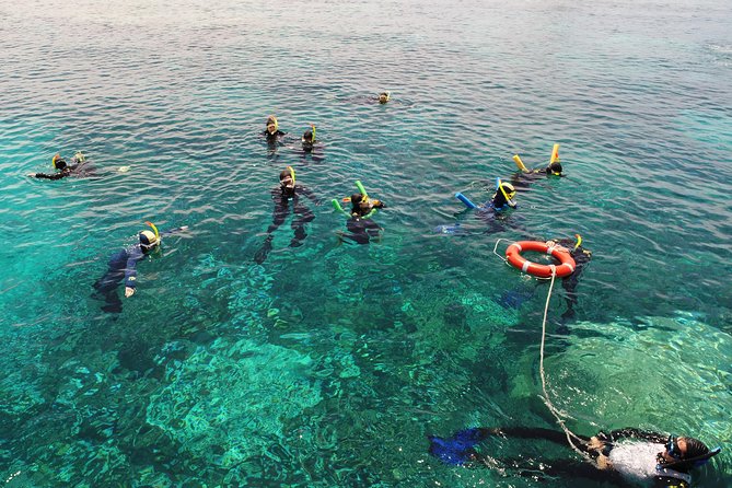 Seastar Luxury Outer Great Barrier Reef Island and Reef Tour - Starting early from Cairns Marlin Marina