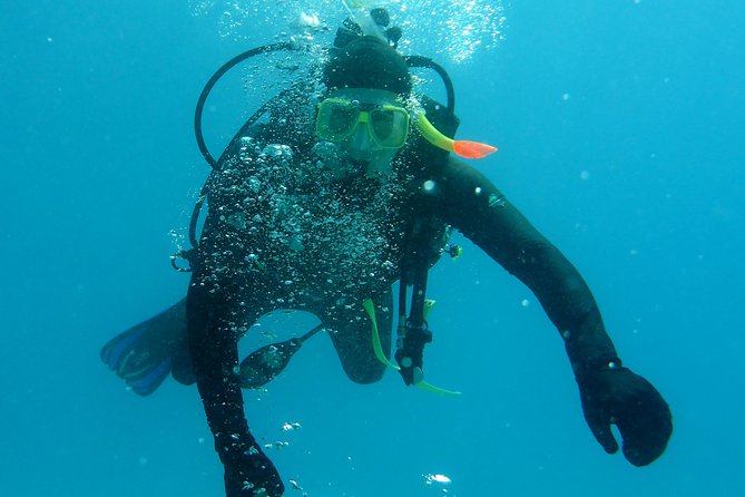 Seastar Luxury Outer Great Barrier Reef Island and Reef Tour - The crew and the small-group advantage