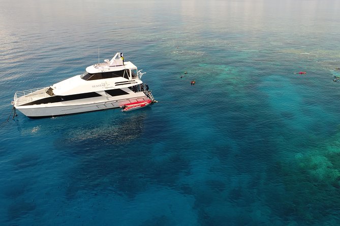 Seastar Luxury Outer Great Barrier Reef Island and Reef Tour - Price and value at about $190 per person