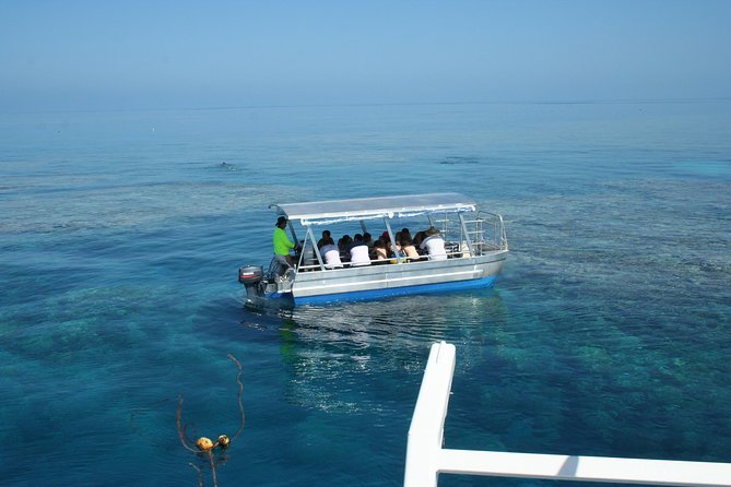 Seastar Luxury Outer Great Barrier Reef Island and Reef Tour - Who will get the most from this tour