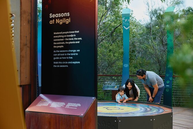 Self-Guided Ngilgi Cave Ancient Lands Experience - A bushland beginning before the cave