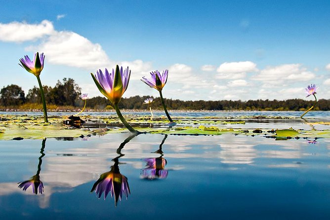 Serenity Cruise to Australia's Everglades - What the $67.42 price includes