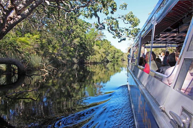 Serenity Cruise to Australia's Everglades - Cruising the mirror-like waterways