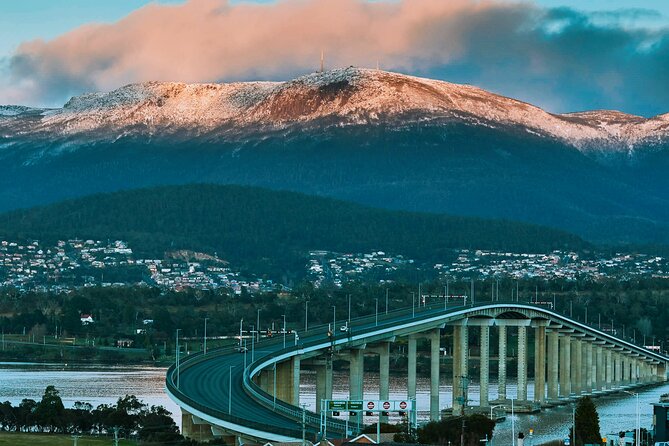 Shore Excursion-Hobart Wanderer - Bonorong Wildlife Sanctuary and Tasmania’s unusual animals