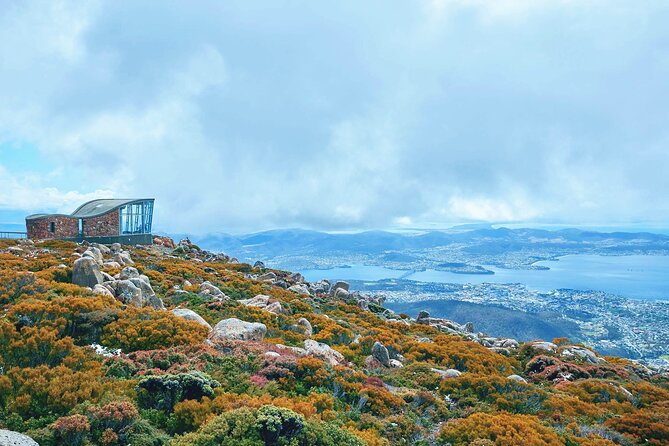 Shore Excursion-Hobart Wanderer - Mount Wellington: big views, changeable weather