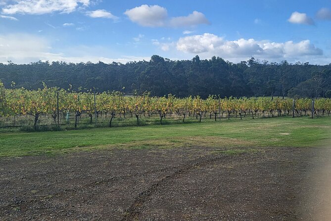 Signature Wine Tour - Hobart & SE Tasmania - What the tasting day feels like in practice