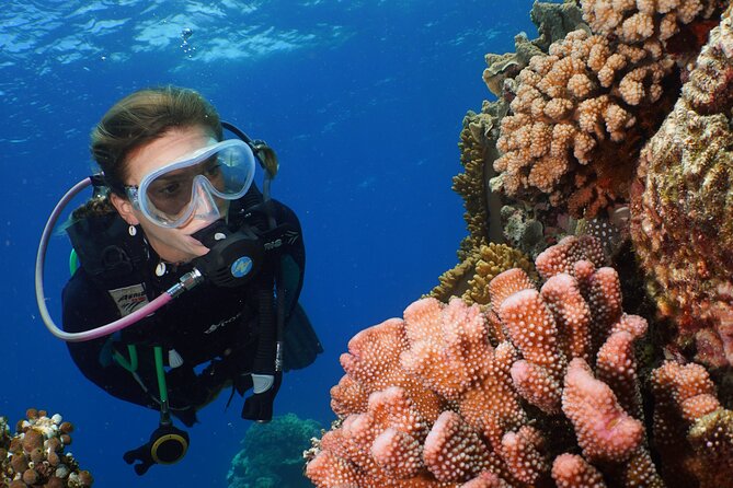 Silversonic Outer Great Barrier Reef Cruise from Port Douglas - Snorkeling for first-timers and confident swimmers