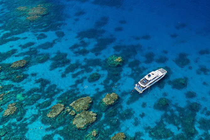 Silverswift Dive and Snorkel Great Barrier Reef Cruise - Key points before you book
