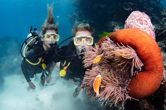 Silverswift Dive and Snorkel Great Barrier Reef Cruise - Meals, equipment, and life between reef sessions