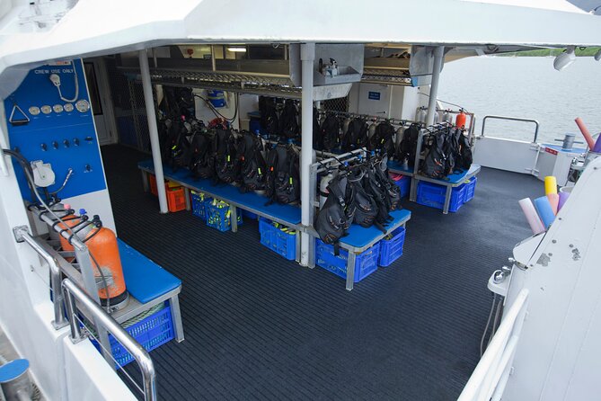 Silverswift Dive and Snorkel Great Barrier Reef Cruise - Who will get the most from this cruise